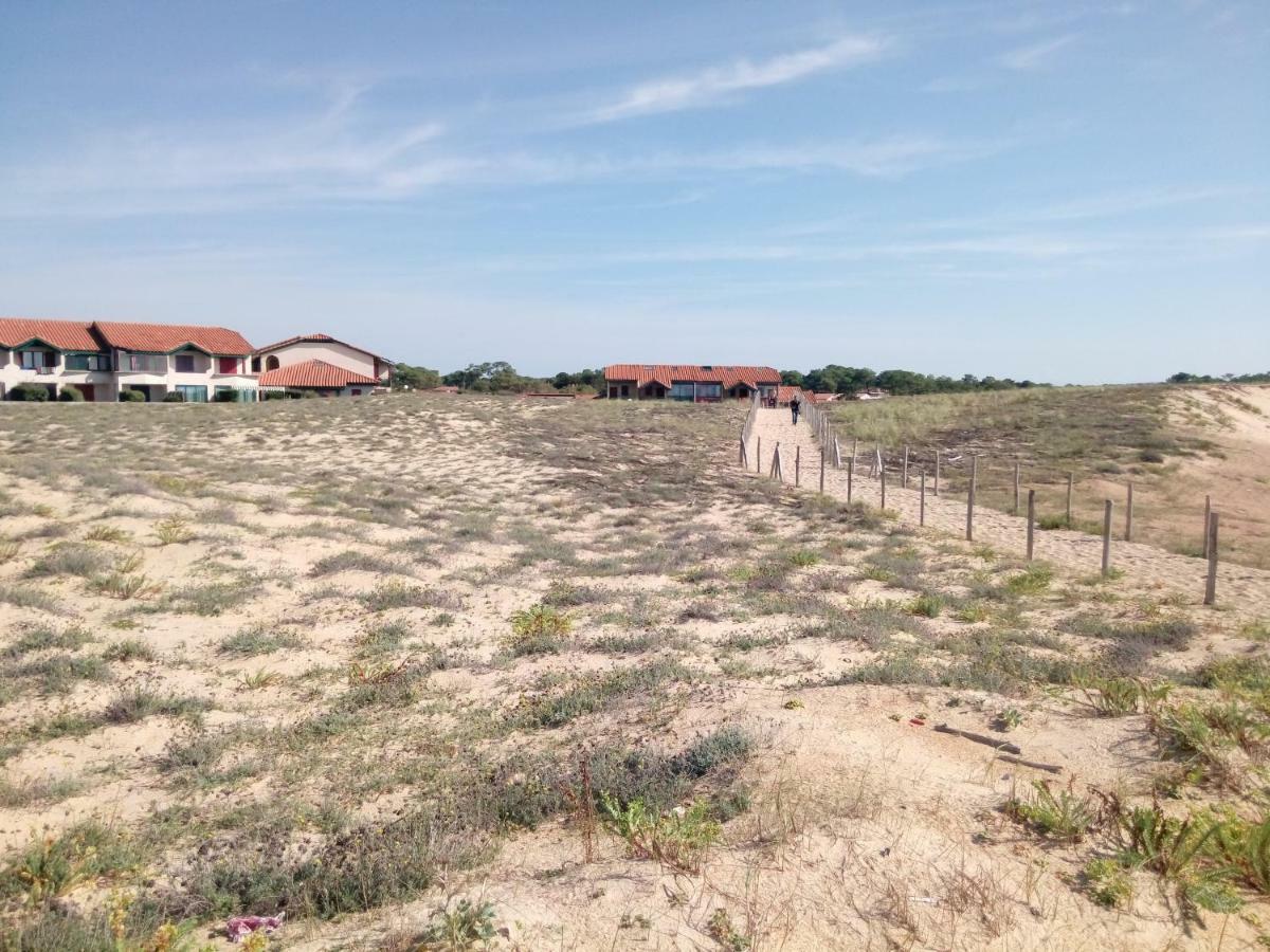 Appartement Capbreton Face A L'Ocean Sans Vis A Vis, Avec Piscine Ngoại thất bức ảnh