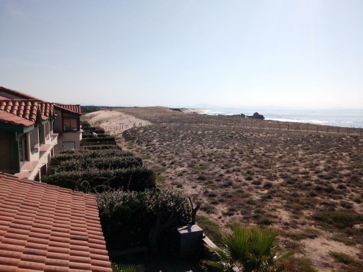 Appartement Capbreton Face A L'Ocean Sans Vis A Vis, Avec Piscine Ngoại thất bức ảnh